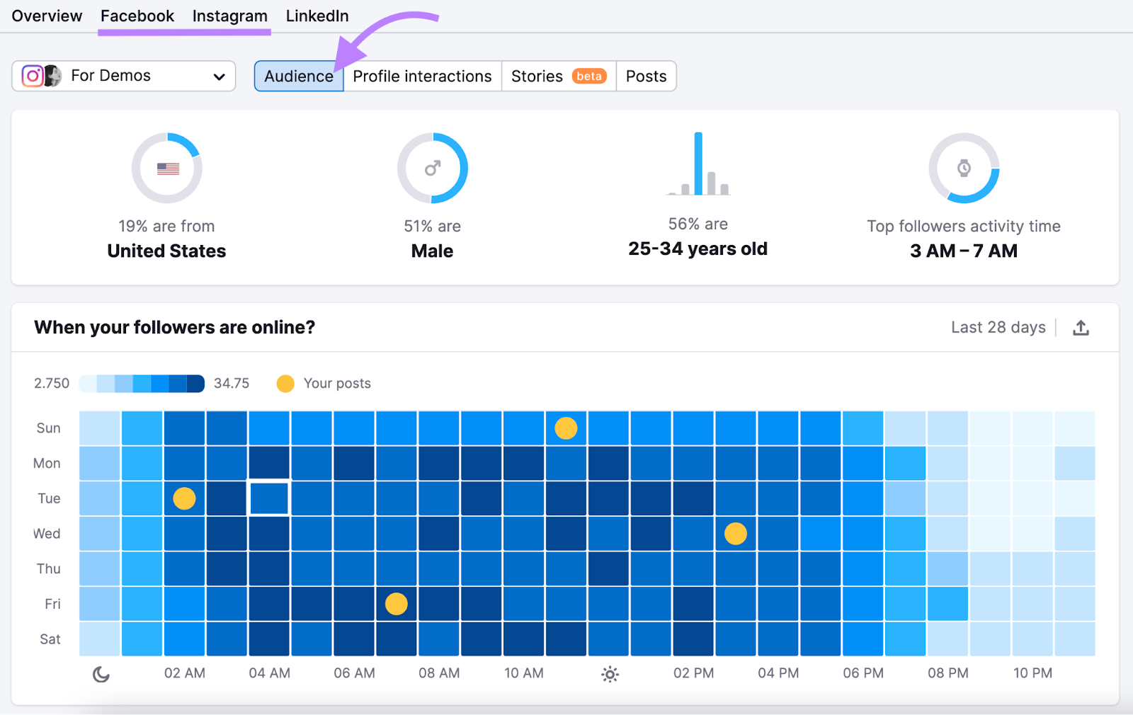 an example of “Audience” tab in the Facebook and Instagram reports in Social Analytics tool