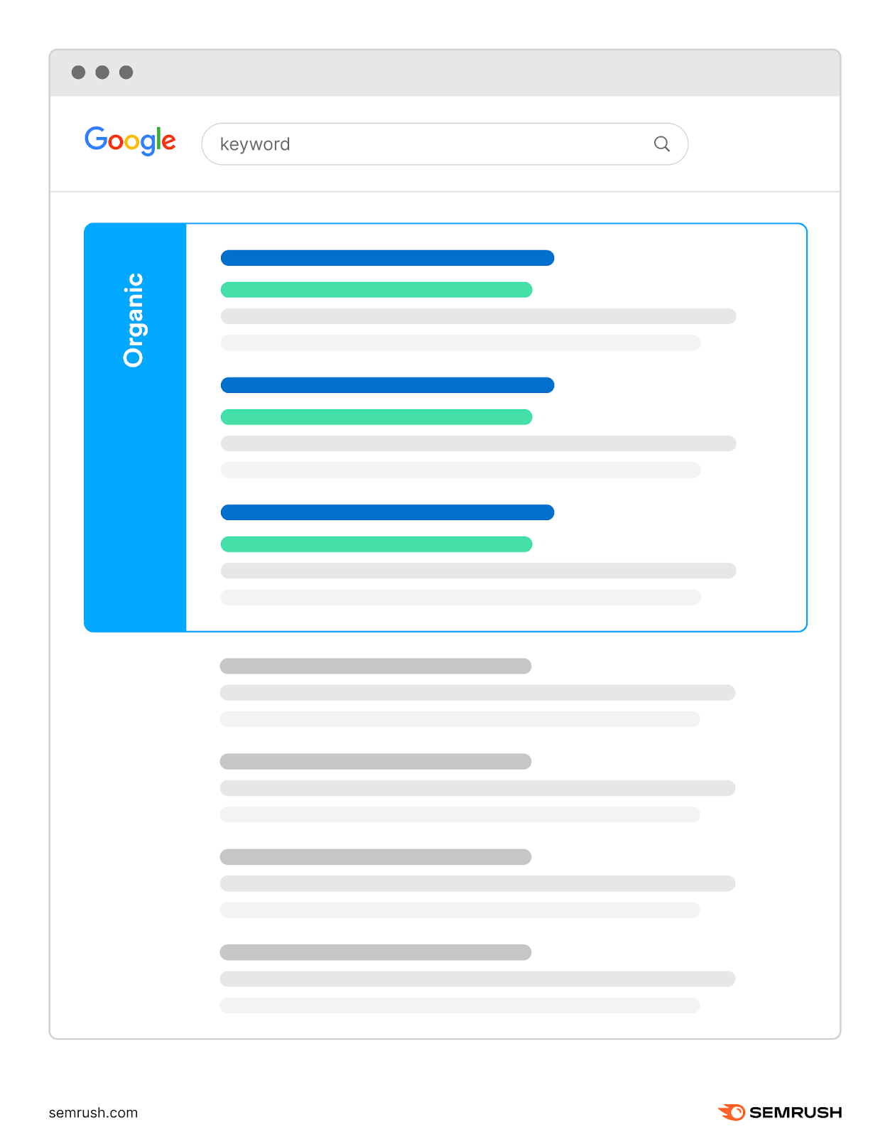 an infographic highlighting organic results on a search engine results page (SERP)