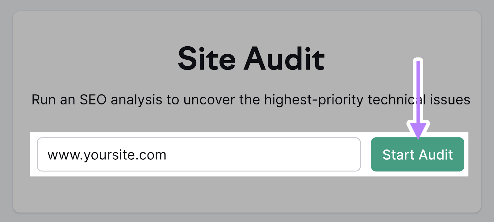 Site Audit tool search bar