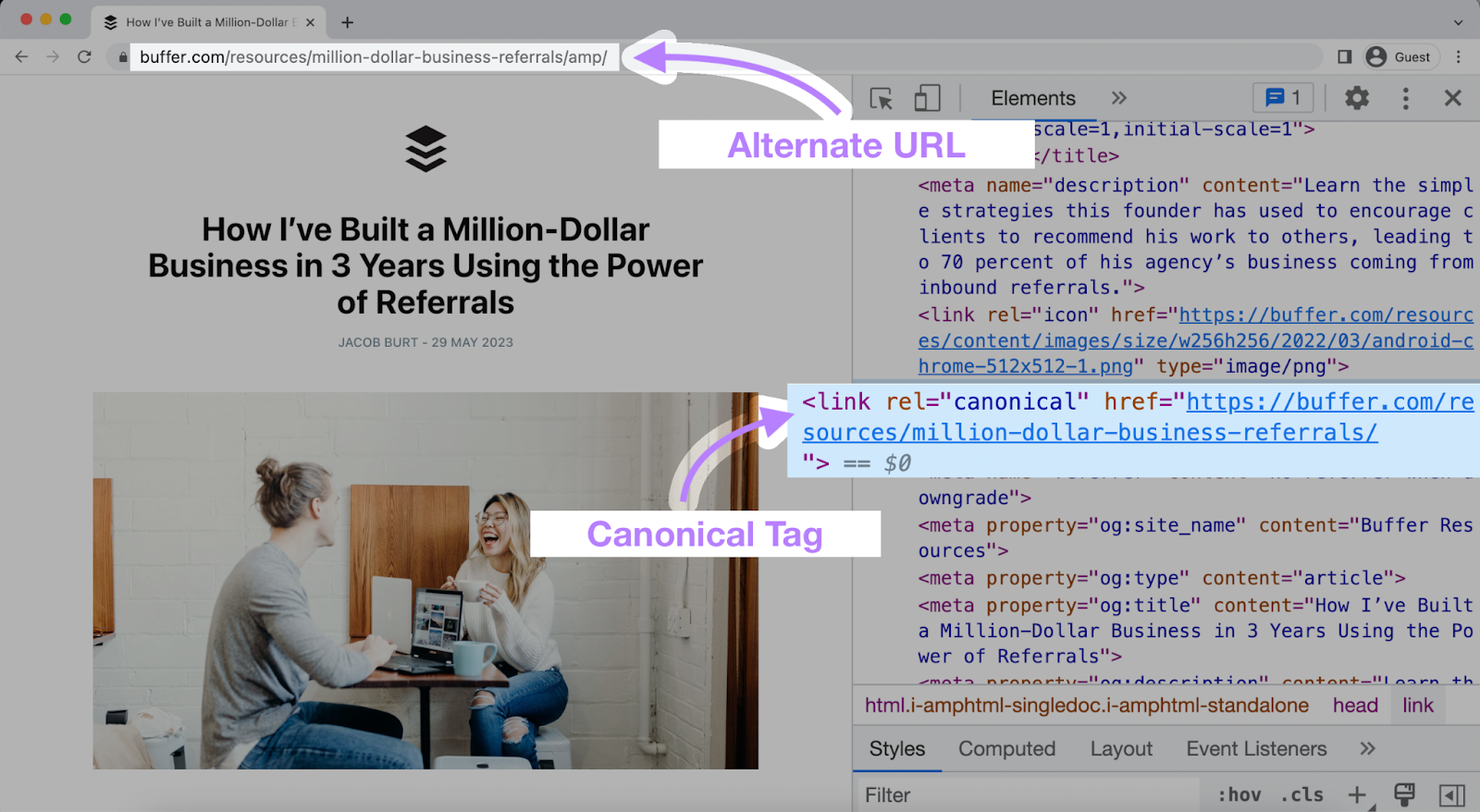 a screenshot highlighting the alternate URL and canonical tag