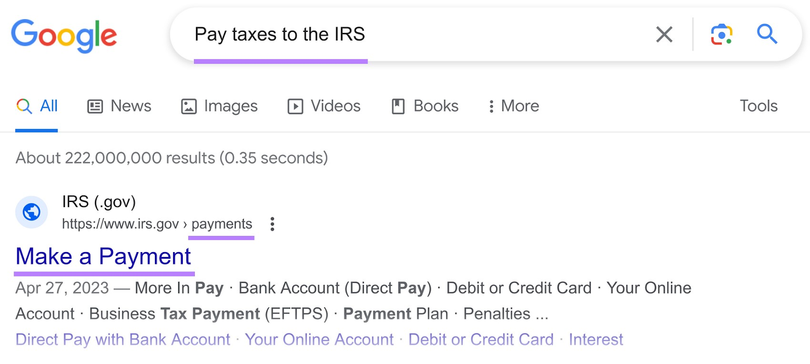 Google search for "pay taxes to the IRS"