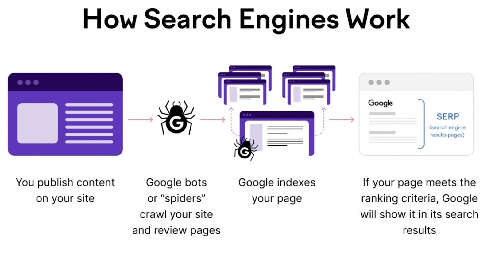 "How Search Engines Work" infographic