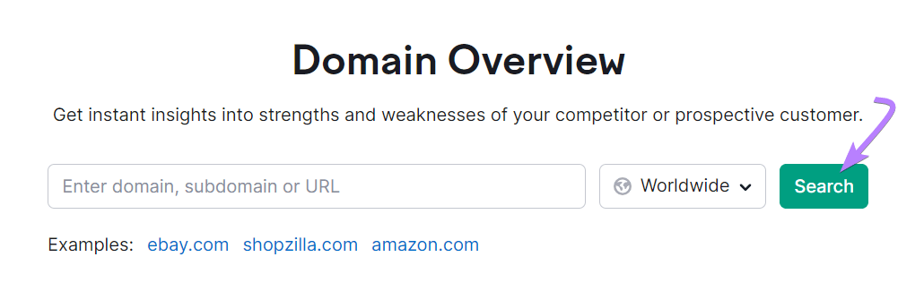 Domain Overview search bar