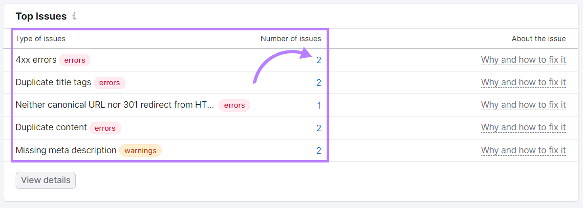 "Top Issues" section of the report in Site Audit