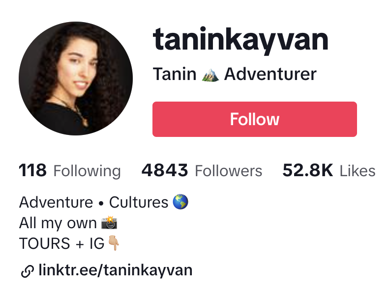 Tanin Kayvan's TikTok profile