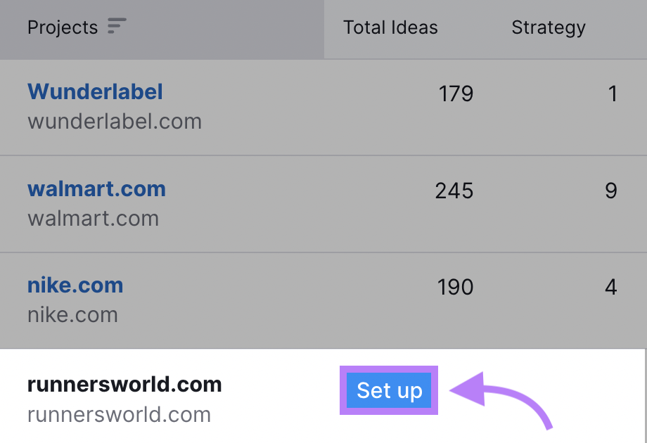 "Set up" button highlighted next to "runnersworld.com" domain