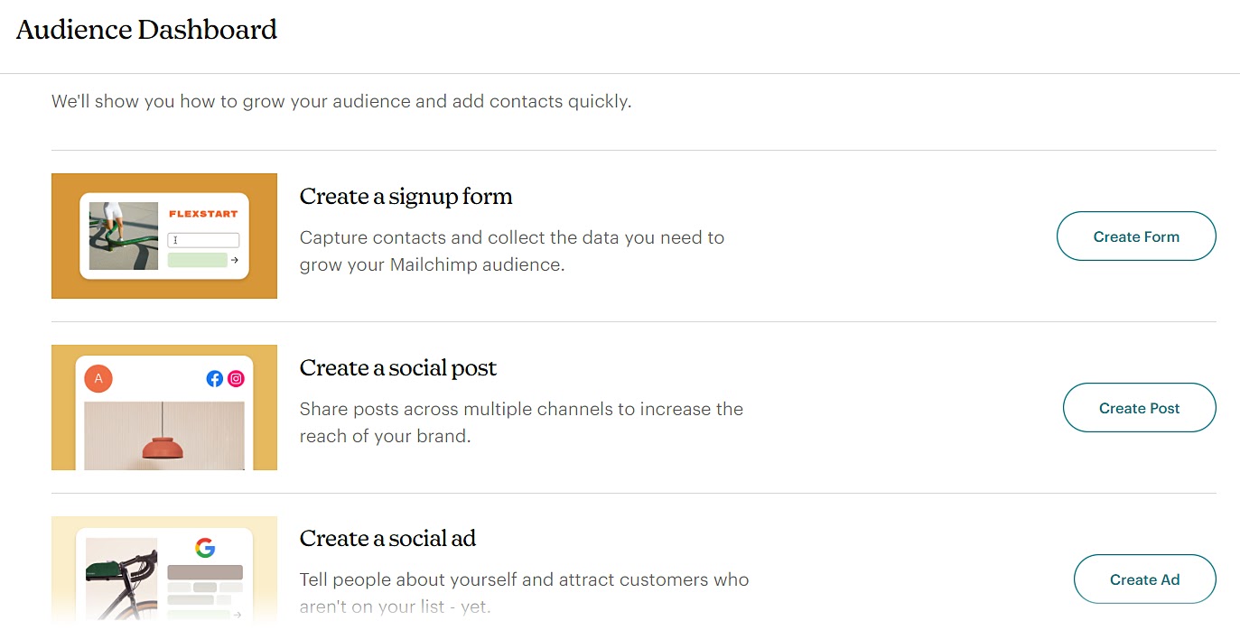 "Audience Dashboard" in Mailchimp