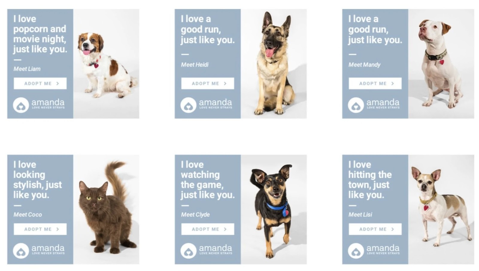 An image showing six Amanda Foundation's targeted ads to find homes for animals