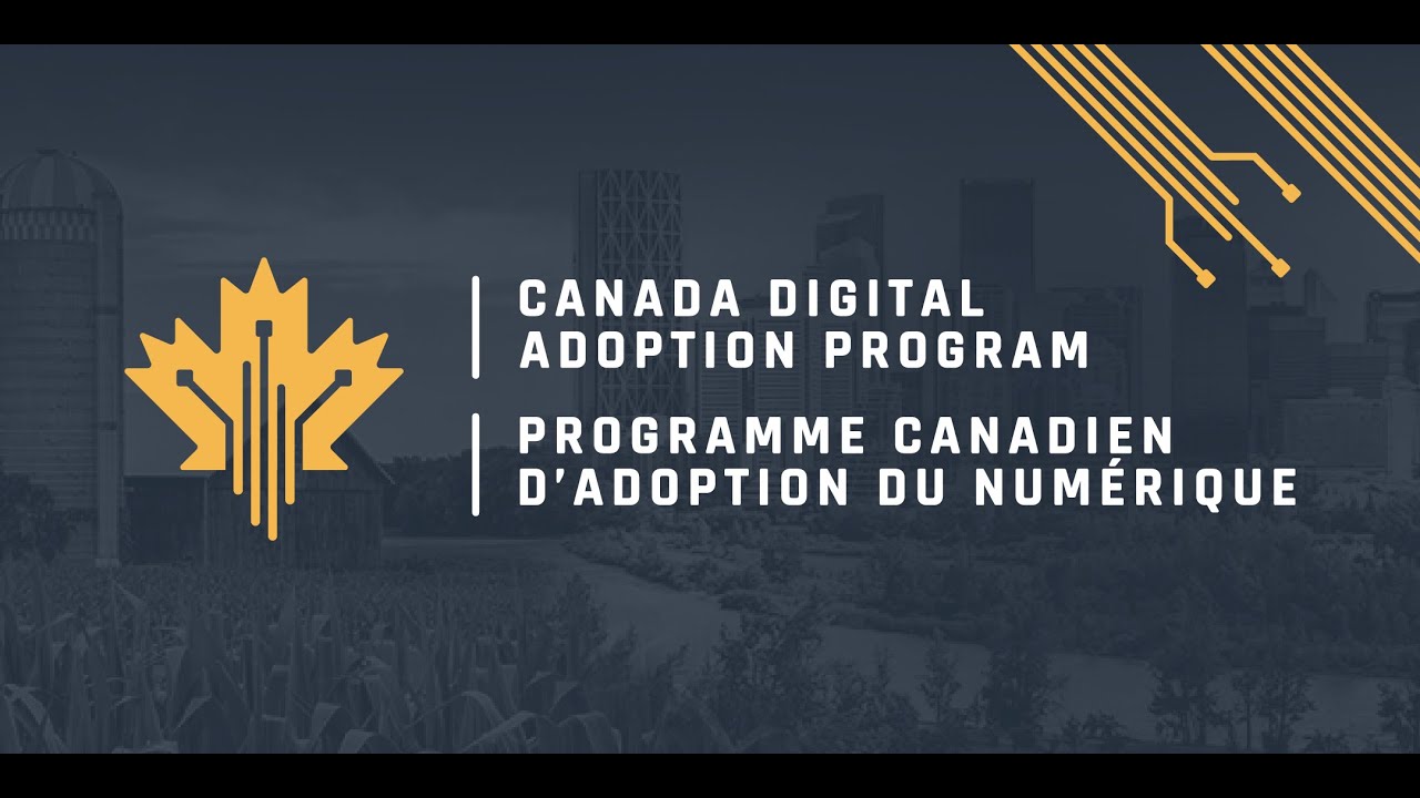 Enhance Enterprise Success with Canada’s Digital Adoption Program