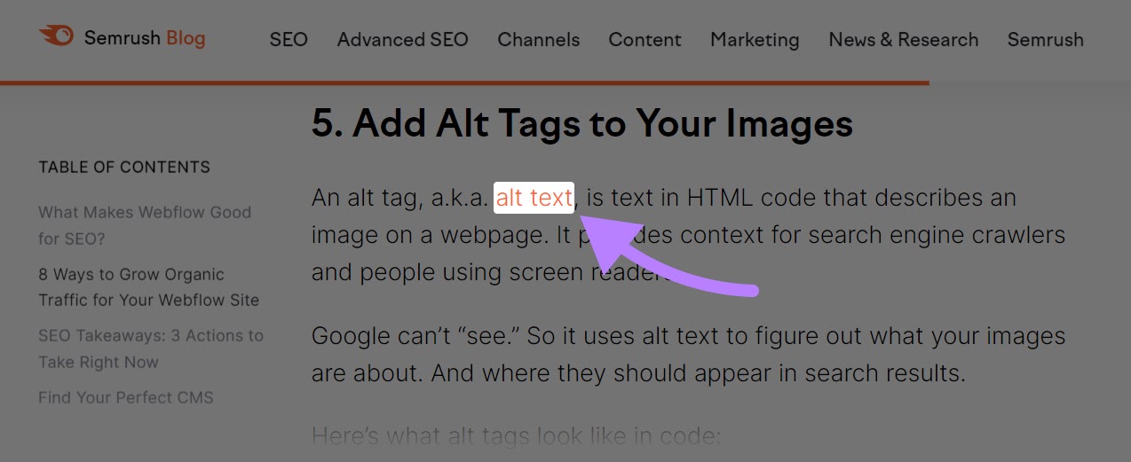 A hyperlink on a Semrush blog with "alt text" as an anchor text