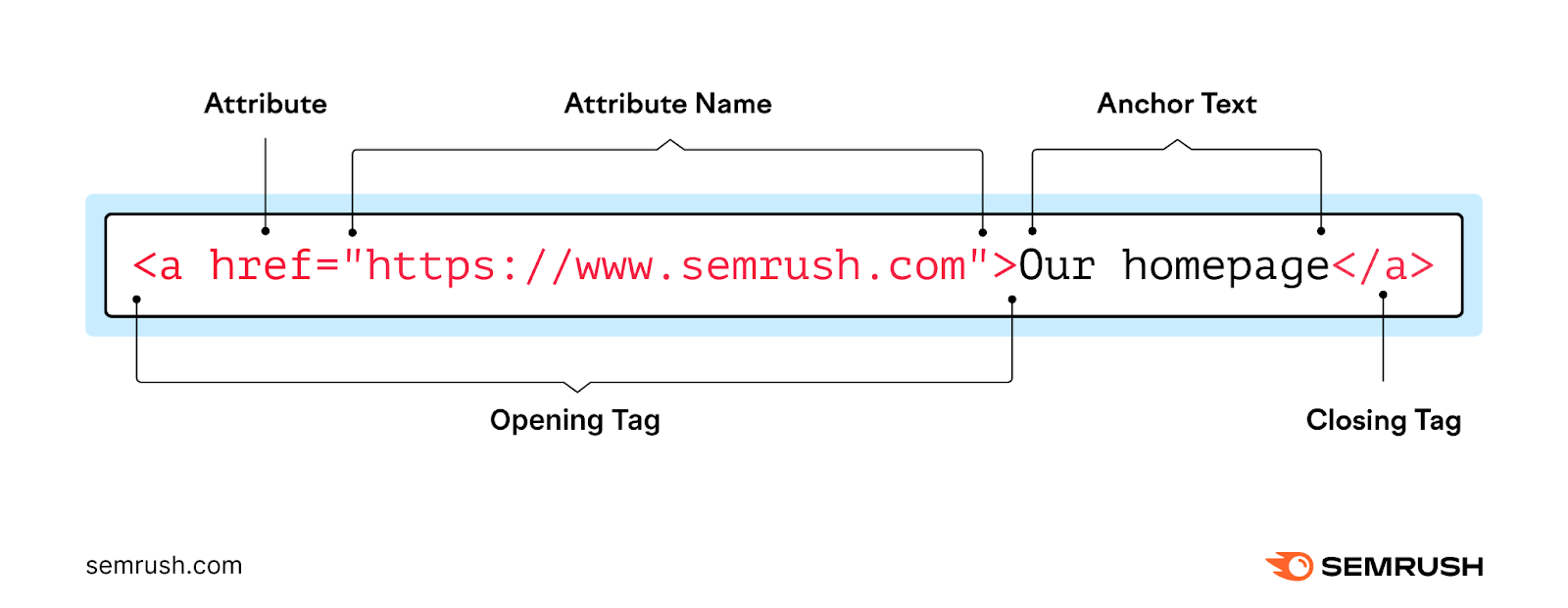 An example of using an href attribute